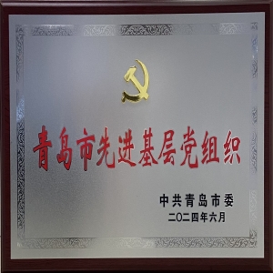 青岛市先进基层党组织
